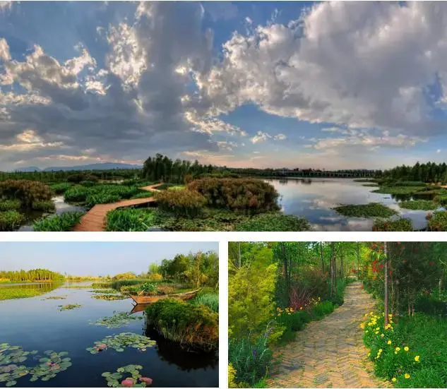 俊发·西亮塘湿地公园将建立"环境科研教育基地"