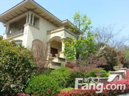 【合肥】市场 :【观澜天下】天生亲近自然 山里的原生态美墅
