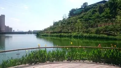 垂钓平台