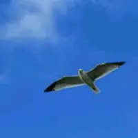 徽湖侃房
