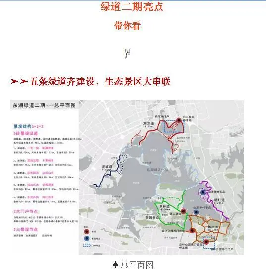 "百里绿道"已至严西湖隧道口!再不上车就晚了
