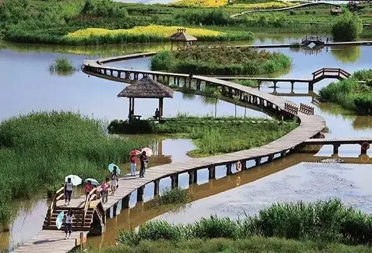 示意圖