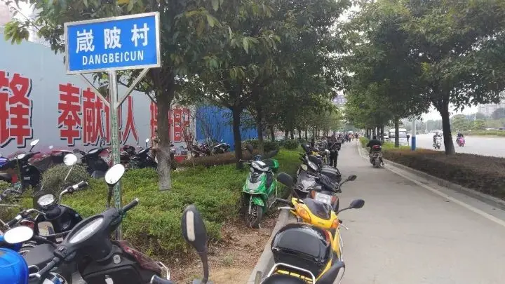 33.jpg