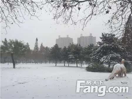 【明珠· 公园Ⅱ期 | 望璟台】2018年 场雪，银装的她更美！
