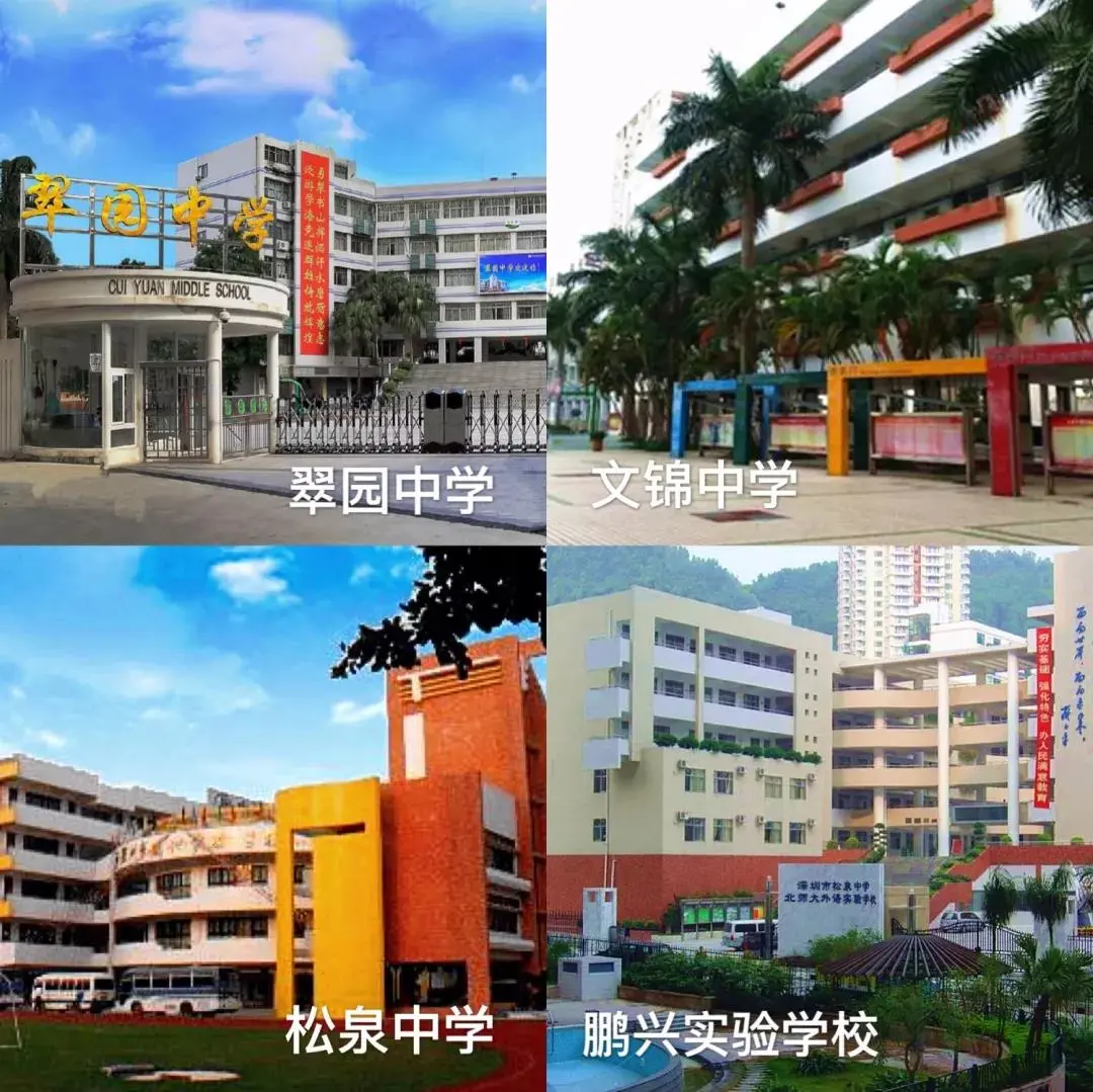 深业东岭九大教育集团护航罗湖帮你解决入学难