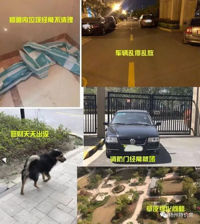 扬州静安神盘、糟心物业、新房未住成水帘洞,还有更多小区问题谁来买单? 扬州静安神盘、糟心物业、新房未住成水帘洞,还有更多小区问题谁来买单?