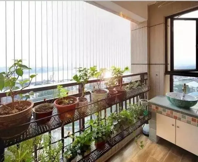 阳台用双排铁艺架摆放绿植盆栽,转角空间刚好可以容纳洗衣机,这个不大