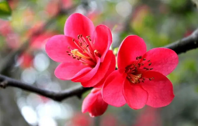 无霾桂林#--过几天,桂林将变成全国最美的城市!