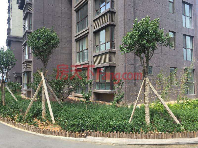 星湖湾踩盘:一期全面交房 二期样板间开放